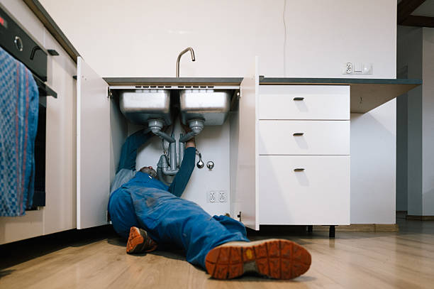 Professional Plumbing technician working in Elberta, UT